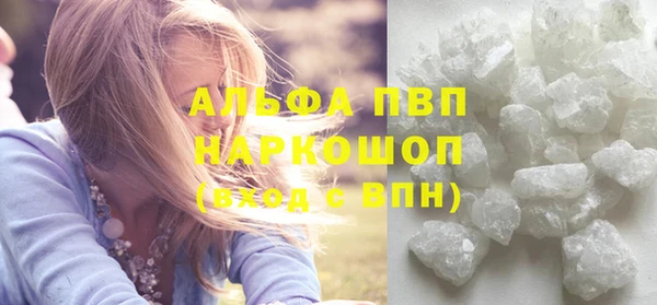 СК Медногорск