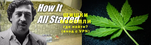 PSILOCYBIN Мегион