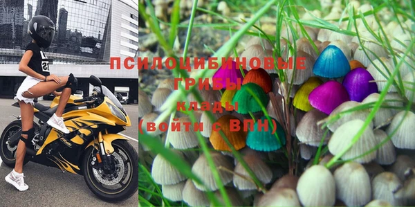 PSILOCYBIN Мегион