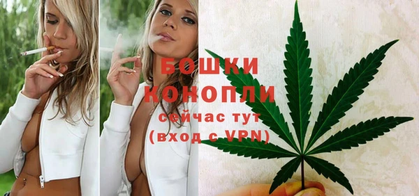 СК Медногорск
