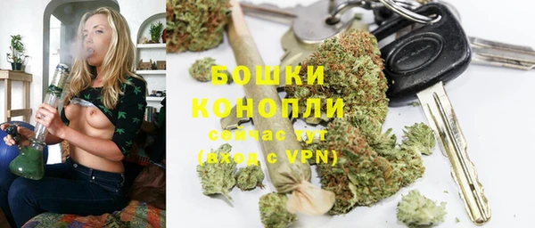 СК Медногорск