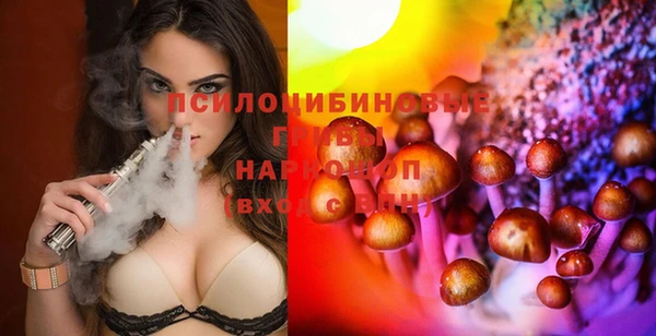дживик Медвежьегорск
