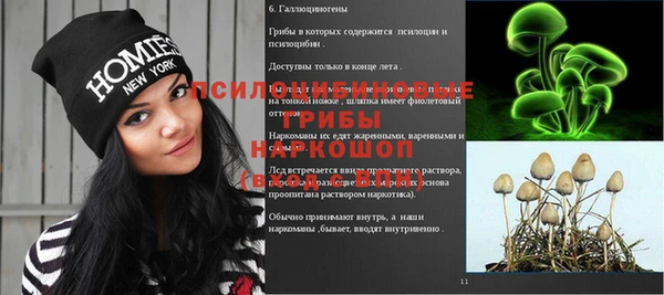 СК Медногорск