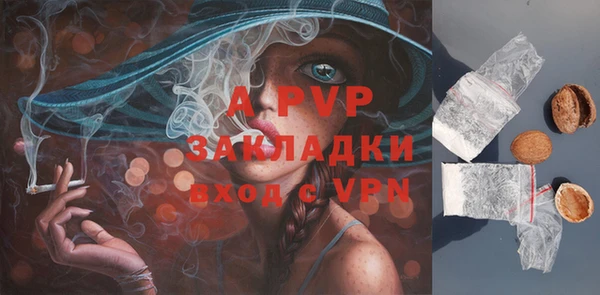 PSILOCYBIN Мегион
